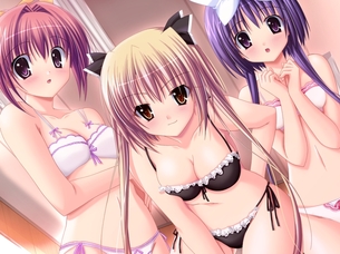 幼なじみと甘～くエッチに過ごす方法 【18禁エロゲーHCG】壁紙・画像