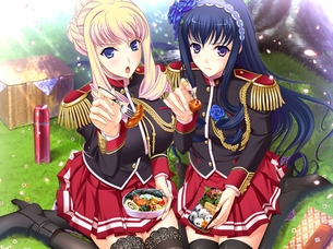 ワルキューレロマンツェ More＆More 【18禁エロゲーHCG】壁紙・画像 その2