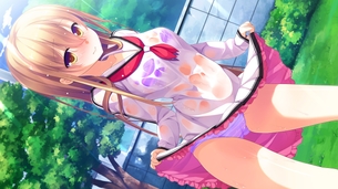 1番じゃなきゃダメですかっ？ 【18禁エロゲーHCG】壁紙・画像