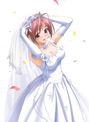 ウェディングドレスの二次元エロ画像。