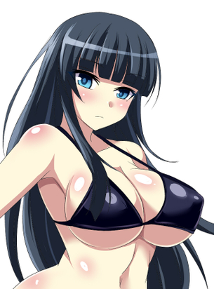 【閃乱カグラ】斑鳩の二次フェチ画像。