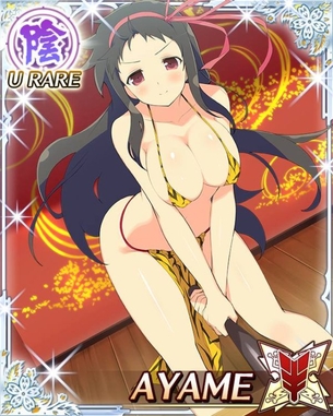 閃乱カグラのエロ画像を復習していく