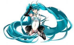 【ボーカロイド】初音ミクの二次エロ画像
