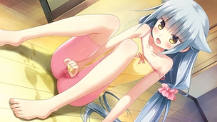 貧乳・ちっぱい 俺の求めるおっぱいはこれだ!!!!