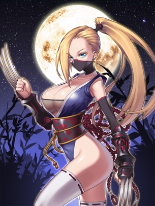 【※NINJA※】 露出度高い、くノ一娘の2次エロ画像まとめ