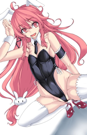 【2次】エロ可愛いバニーさんの2次エロ画像 その16【バニーガール】