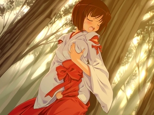 【2次エロ画像】巫女服の半脱ぎはなんかエロい その9【巫女さん】