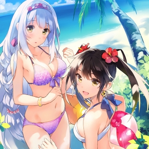 瑞鶴（艦これ）のエロ画像まとめ 瑞加賀すこ part2