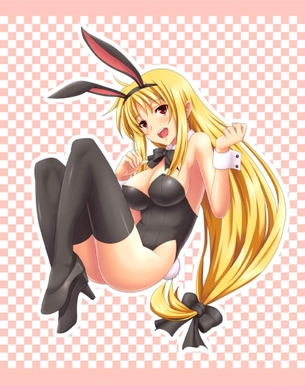 バニーガールのエロ画像集めてみた