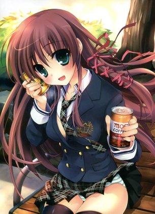 ニーソの二次フェチ画像。