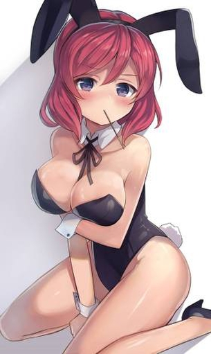 バニーガールのエロ画像を復習していく