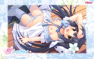 桜ノーリプライ 【18禁PC美少女ゲームCG】壁紙・画像 其の2