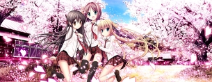 さくら、咲きました。【18禁PC美少女ゲームCG】エロ壁紙・画像 其の1