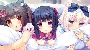 ネコぱら vol.0 水無月ネコたちの日常！【PC美少女ゲームCG】壁紙・画像