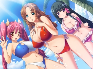 ビーチクビーチ ～南国乳辱撮影会～ 【18禁エロゲーHCG】壁紙・画像