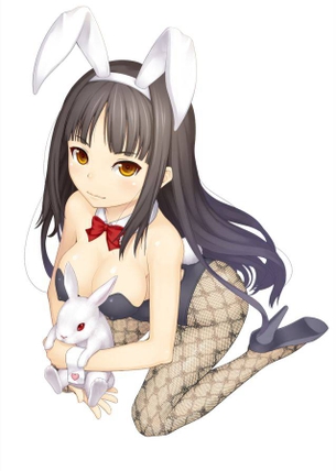 【網タイツ】エッチぃバニーガールの二次元画像くださひ！ part7