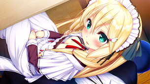 家事も性処理もお任せしたい メイドさんのエロ画像