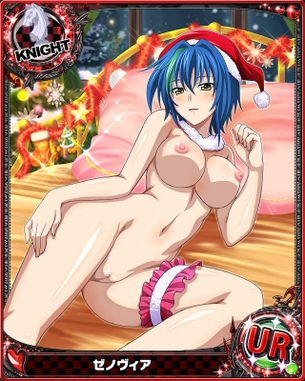 ハイスクールD×Dの二次エロ画像