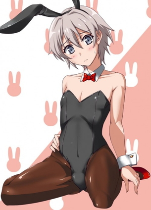 【俺ガイル】男の娘な戸塚彩加の萌えエロ画像のまとめ！