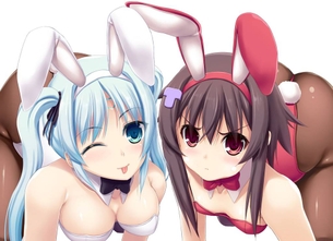 【二次元】バニーガール姿の女の子の二次エロ画像くだしゃい！ part3