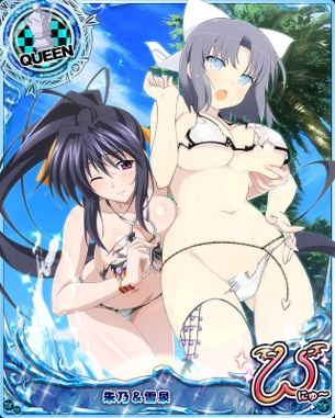 姫島朱乃 ハイスクールD×D