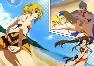 凰鈴音 インフィニット・ストラトス Part 2