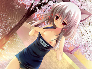 ケモ耳のオナネタ画像を集めたよー！！