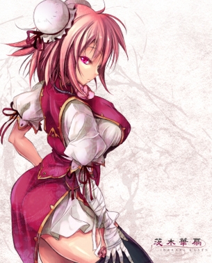 弾幕不可避東方プロジェクト画像集8
