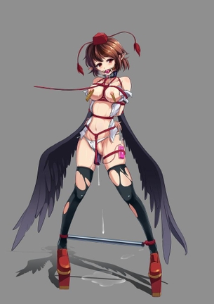 弾幕不可避東方プロジェクト画像集11