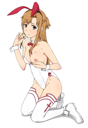 ソードアート・オンラインのエロ画像集めてみた