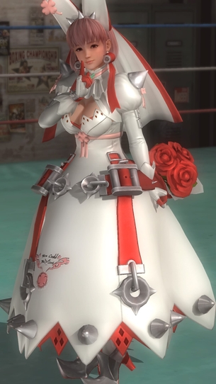 DOA5LR アークシステムワークスコラボコスチュームのパンツコレクション（ほのか編）