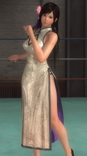 DOA5LR セクシーチャイナドレスのパンツコレクション（こころ、エレナ編）