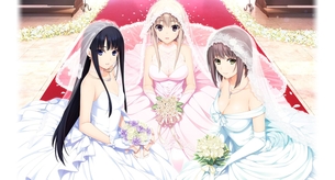 【2次】ウェディングドレス姿の女の子の二次エロ画像 その10【ウェディングドレス】