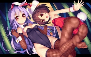 バニーガールの二次元エロ画像。
