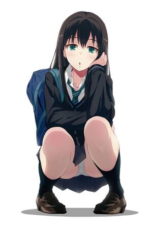 【二次エロ】スカートのまましゃがんでかわいいパンツが見えているパンチラ画像