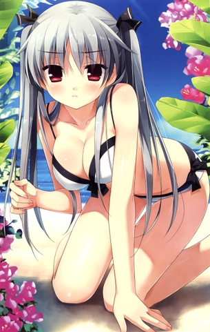 【二次エロ画像】この後零れて無茶苦茶…w即ヤられるべきビキニ姿の巨乳美少女www