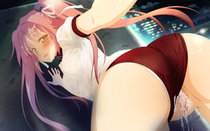 【二次エロ画像】上はノーブラw汗と体液染みたブルマ姿を辱められた美少女www