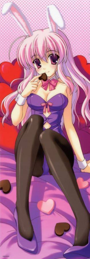 バニーガールの二次エロ画像くだしあ。