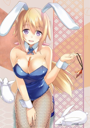 【網タイツ】エッチぃバニーガールの二次元画像くださひ！ part11
