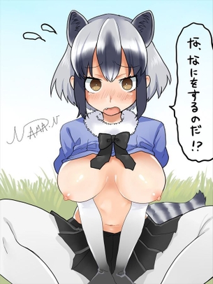 【けものフレンズ】アライグマのオナネタ画像を集めたよー！！