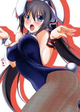 バニーガールの二次画像がヌけすぎてこまる件について