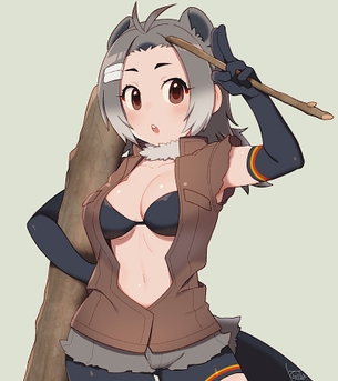 けものフレンズがエロくてたまんないので画像を収集してきた