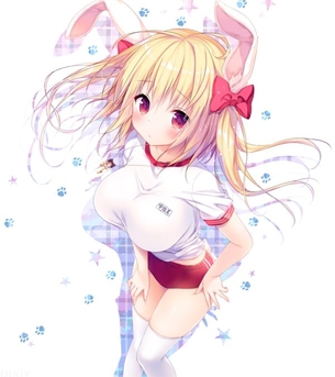 体操服・ブルマのエロ画像を集めてみた