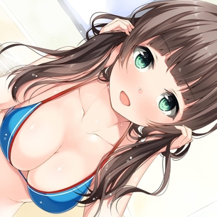 たわわなおっぱいが強調された、二次元ビキニ画像詰め合わせ。