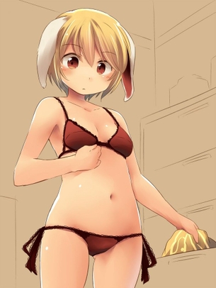 東方画像色々 その158 50枚