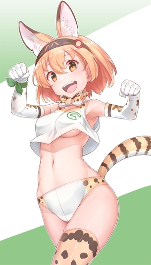 けものフレンズで一番かわいい子の画像ください