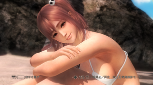【画像あり】おっ○い揉みしだきたい格闘ゲームの女性キャラwwwwwwww（DOA）