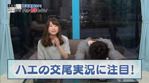 夏アニメ『下セカ』放送直前SPで声優「石上静香さん」がお○んぽ、ま○汁など淫語連発wwwww