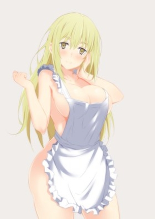 裸エプロンの二次エロ画像くだしあ。