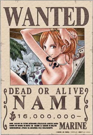 『ワンピース』ナミさんの手配書でシコったことある奴wwwwwwwww